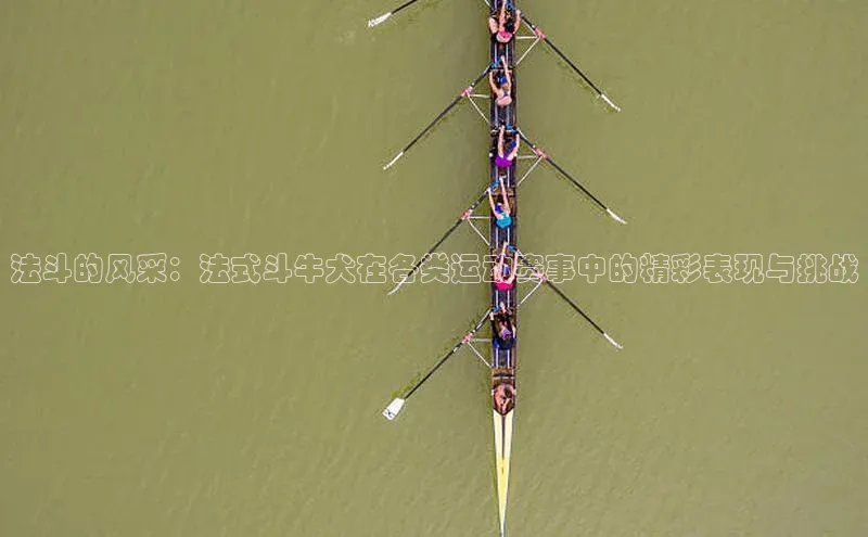 万向娱乐官方入口