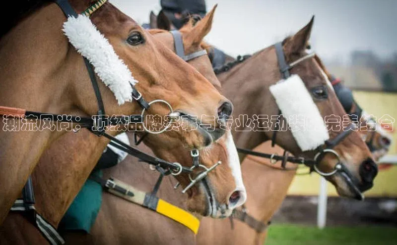 万向娱乐平台官网入口